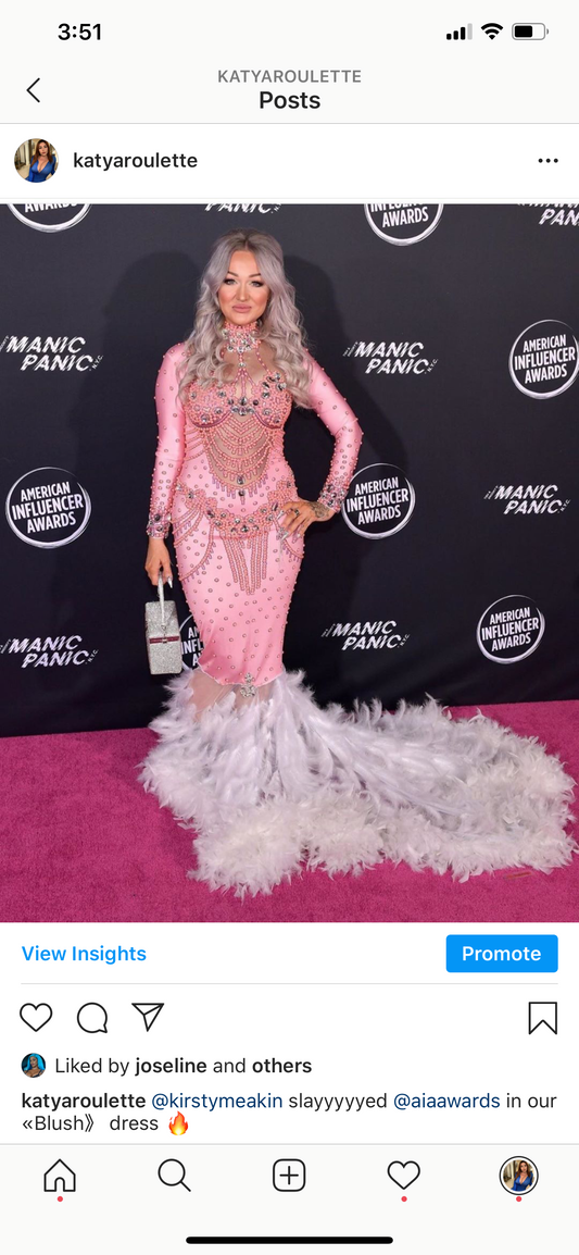 Blush pink feather dress or gown